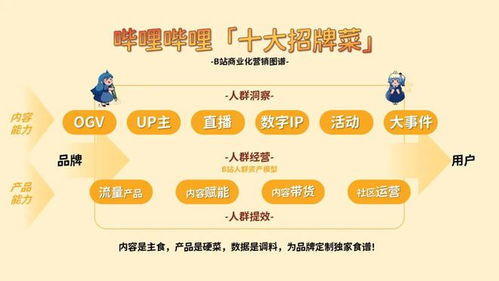 嗶哩嗶哩（B站）食品飲料行業(yè)廣告投放與營(yíng)銷推廣策略深度分析及代理合作前景